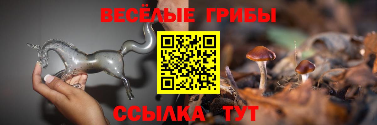 Сарапул  Галлюциногенные грибы прущие грибы  Вход с VPN 